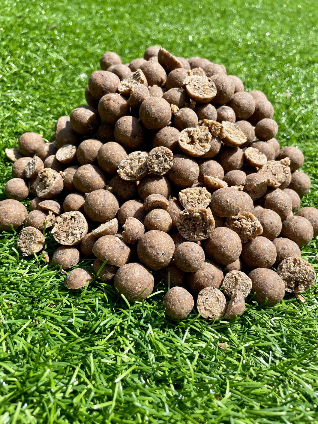 Allergy Boilies - Freezer